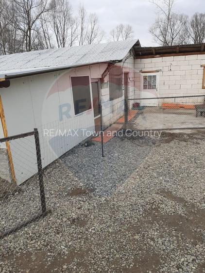 Afacere la cheie în creșterea porcinelor – Rona de Jos - 7