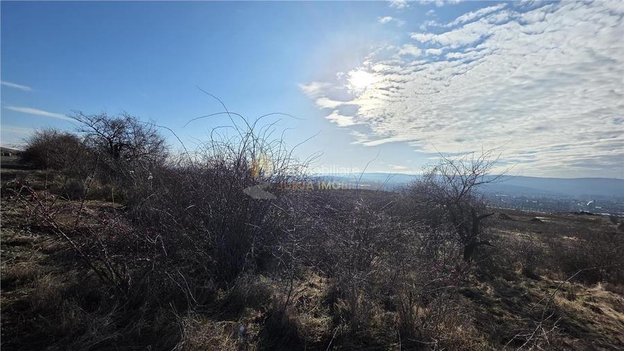 TEREN INTRAVILAN 590 MP  | 2 FRONTURI 17 MP | ZONA CARTIER  VORONET - 2