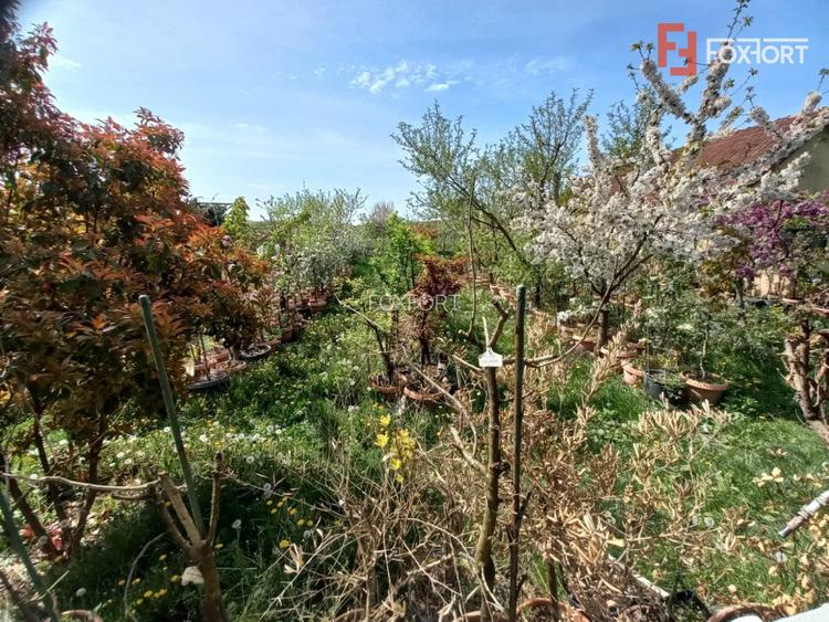 Casa individuala | 5 camere | Teren generos 805 mp | Giarmata Vii - 7