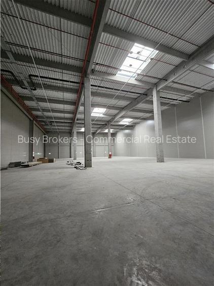 Spatiu Industrial - 6200 mp - Logistica - Productie - Depozitare - Distributie - 3