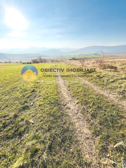 TEREN intravilan  comuna GARCINA - 3