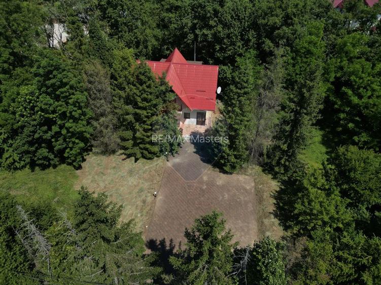 Casa cu teren generos – refugiul perfect în Paltinoasa, Suceava - 5