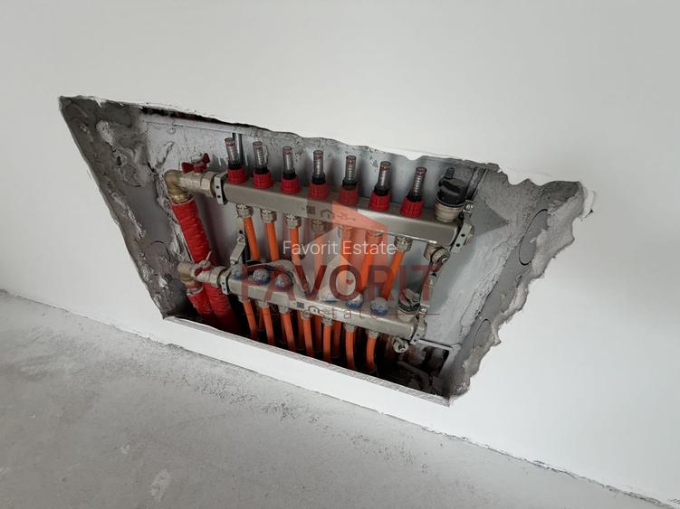 Decomandat. Zona Buziasului. Parcare in curte. - 14