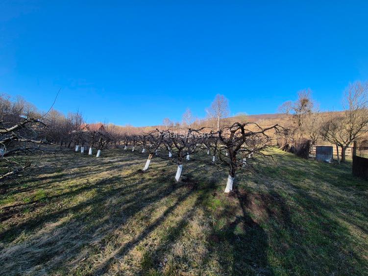 Teren extravilan (inclus in PUG 2026) aproape de Bistrița - 2