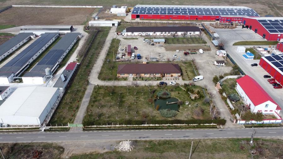 Oportunitate de investiții! - 2