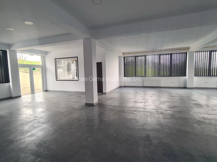 Spațiu birouri / depozitare / producție ușoară – Tătărași, Aurel Vlaicu - 5