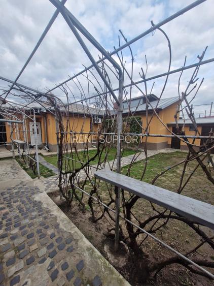Casa ideala pentru familie extinsa - 3 locuinte in aceeasi curte, Chitila - 3