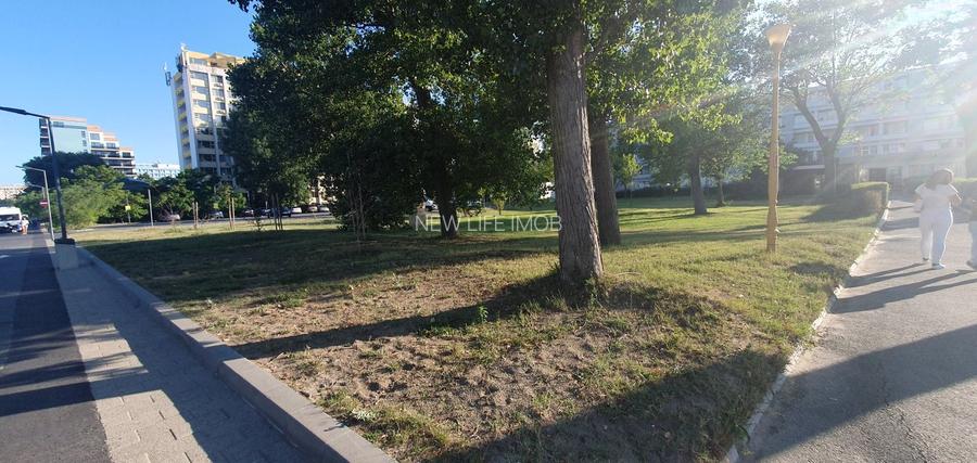 TEREN STATIUNEA MAMAIA/FALEZA - 3