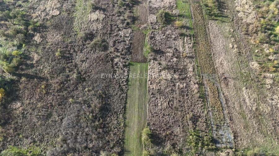 Vidra – Teren 1100 mp – Drum de Acces – Ideal Casa - 2