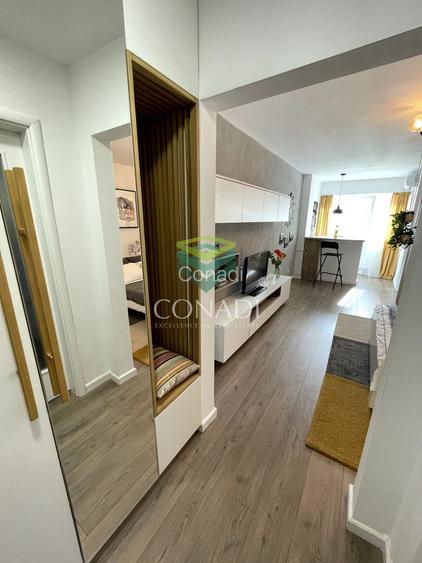 Garsoniera renovata modern str Nada Florilor - Teiul Domnei - 45