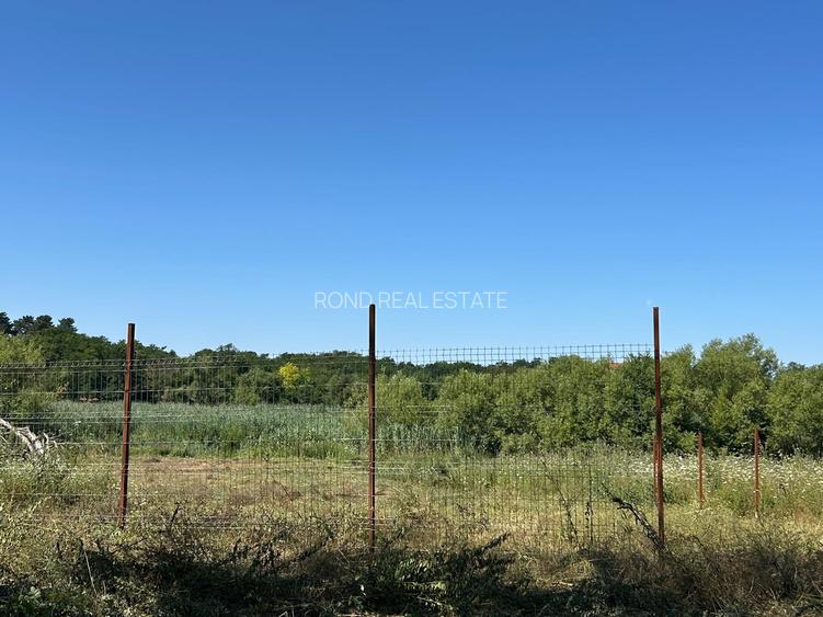 Teren cu deschidere la lac strada Orhideelor- conectare imediata la curent - 10
