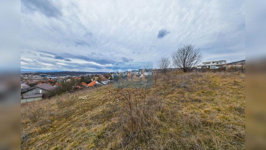 COMISION 0%! Teren constructii 3400 mp, panorama, Dambul Rotund - 6