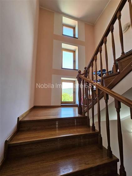 TEREN INTRAVILAN DEVANZARE 33161 MP DE VANZARE TARGU OCNA - 28