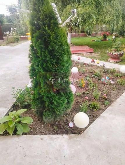 Casa Prahova Comuna Buchilas | 2.800 MP TEREN | Zona Verde | Padure - 10