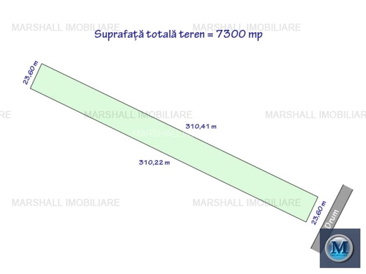 Teren extravilan de vanzare in Paulestii Noi, 7300 mp #16754 - 2