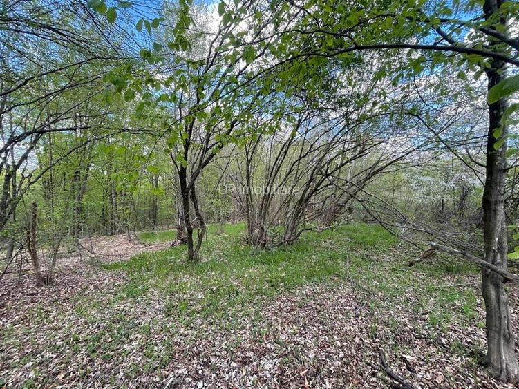 TEREN EXTRAVILAN | 103.000mp | BALANACA-GROSI | PASUNE | PASUNE IMPADURITA | BIH - 4