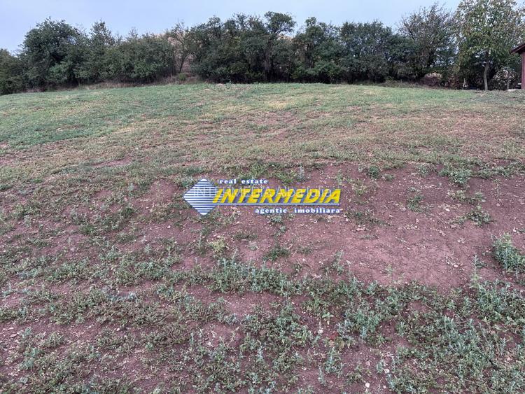 Teren intravilan de vanzare 2000 mp in Sard - 4