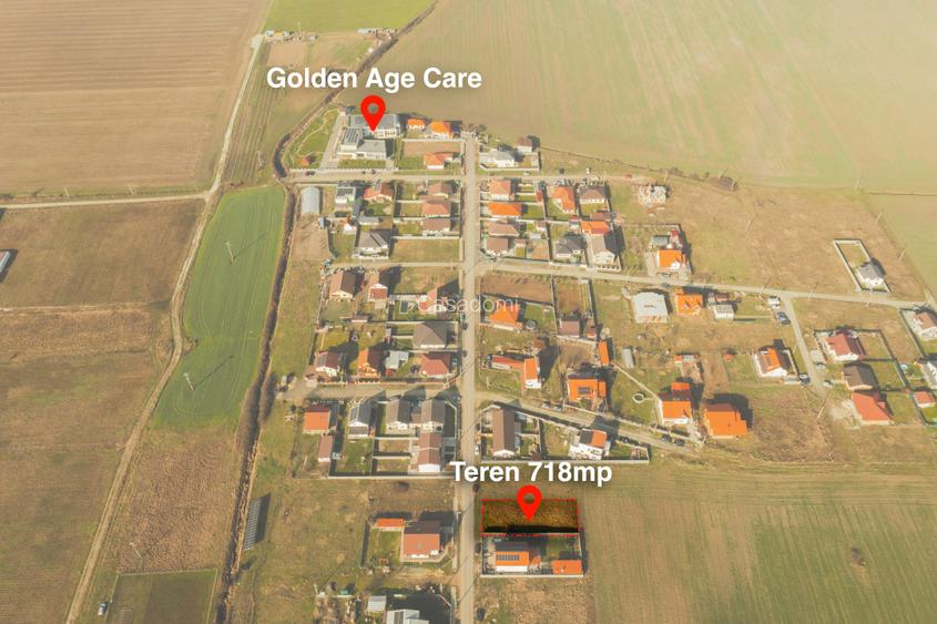 Drum asfaltat - Utilitati - str. Teiului - Sacalaz - 3