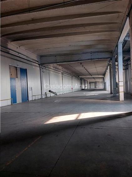 Hala cu acces la centura - 2