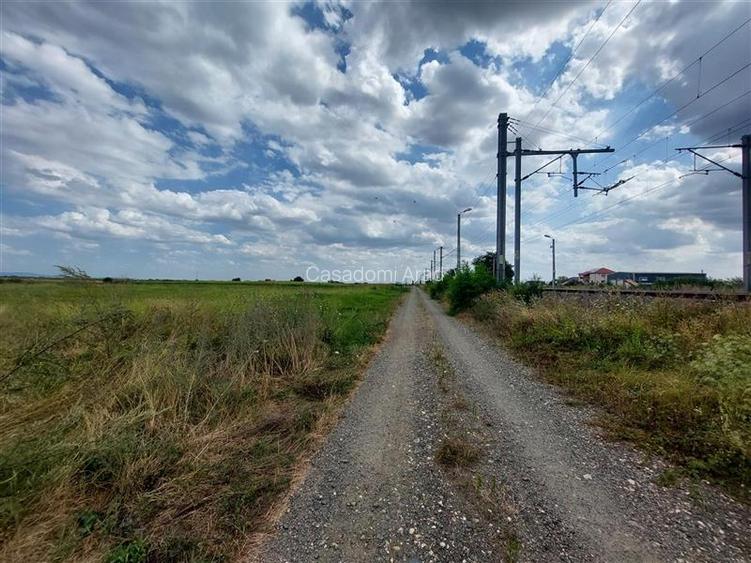 Ocazie!!! Teren cu PUZ pentru hala in Sofronea! - 4