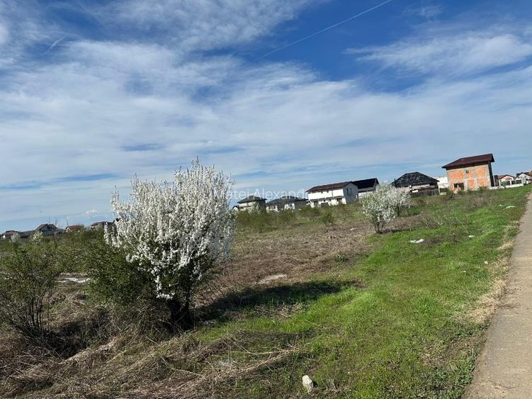 Teren intravilan de vanzare - 5