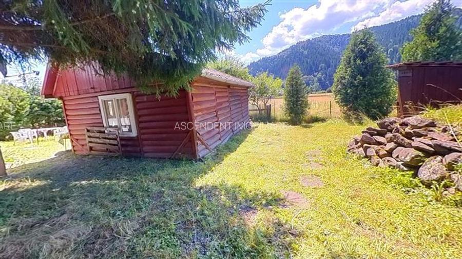 3D&FILM! Refugiu de vacanta, in pitorescul cadru: Lunca Bradului, Mures. - 23