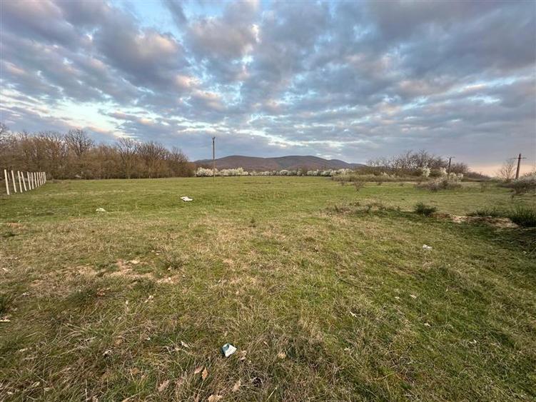 Bocsa Romana, 2 terenuri intravilan, 10.000 Mp.(59.900 Euro) si arabil, 80.000 M