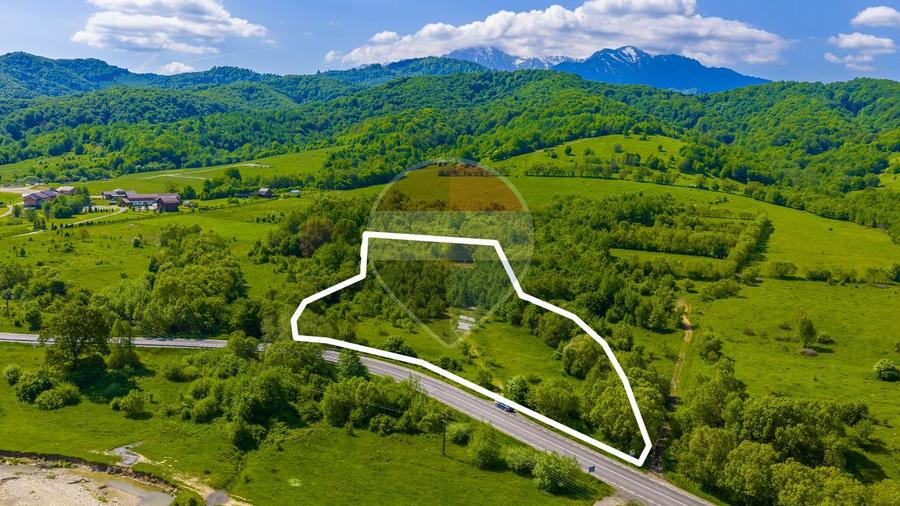 Teren 1ha Valea Glăjeriei - Rasnov | Comision 0%