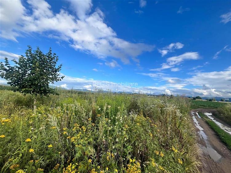 TEREN INTRAVILAN, 500 MP, HARMAN - 2