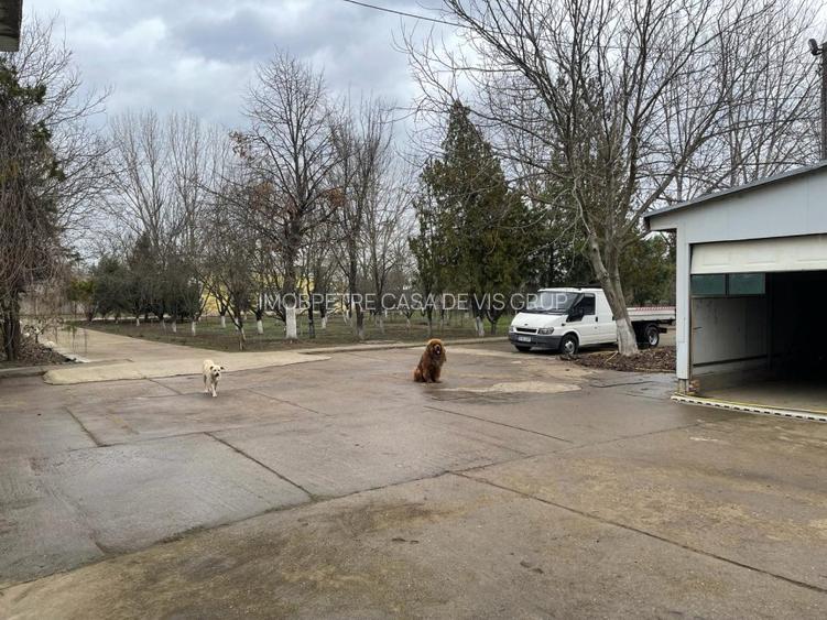 Casa de vanzare la 5 min de Centru cu trei nivele (D+P+1) si teren de 4300mp - 37