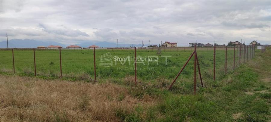 Teren  intravilan cu PUZ 30.000 mp Prejmer - 3