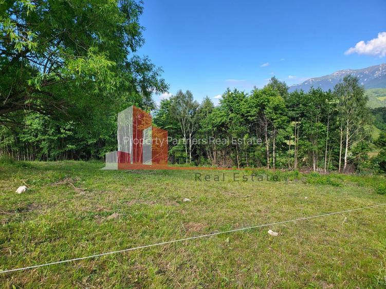 Teren Drumul Carului, Moieciu Suprafață: 29.595 mp | Intravilan - 5