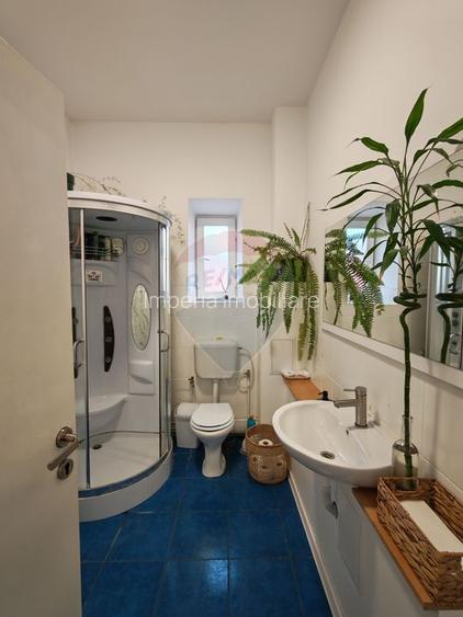 Spațiu comercial versatil de închiriat – lângă Grădina Botanică - 8