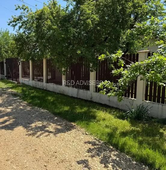 Casa cu 4000 mp teren, Letca Noua, Giurgiu — 1h de București - 3