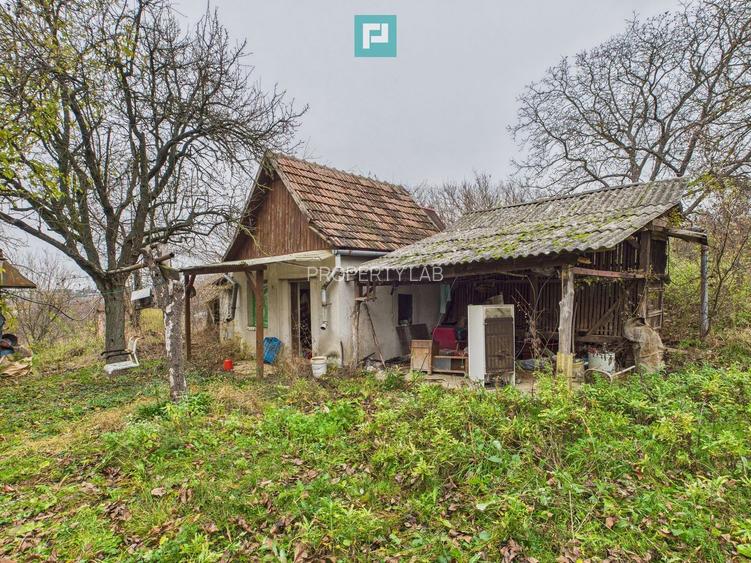 Casă 70 mp în Diosig, 1230 mp teren, cu Crama 25mp - 3