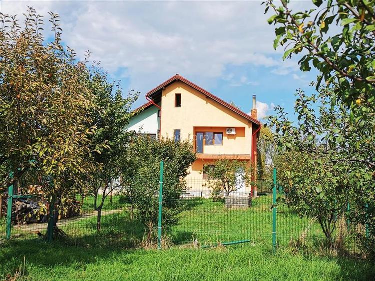 Vila Deosebita Rudicica - 8