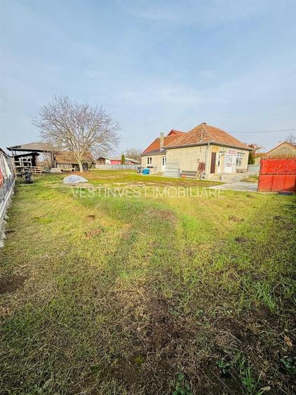 Spatiu Comercial in Rosiori - 3