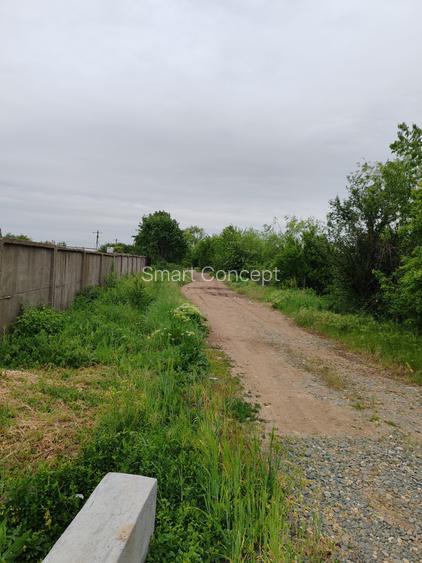 Casă + teren 4200 mp, vie, curent, fosa, anexă – Crevedia Mare, Giurgiu - 11