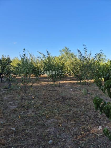 Casă de vânzare în comuna Făcăeni, județul Ialomița – teren 2600 mp, casă nouă,  - 12