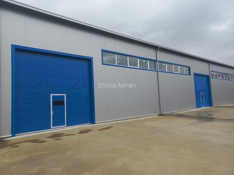 Hala productie sau depozitare 10000 mp - 5