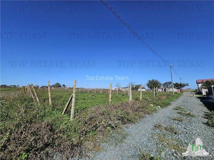 TEREN 500 MP COSTINESTI ZONA CASA BARINA - 5