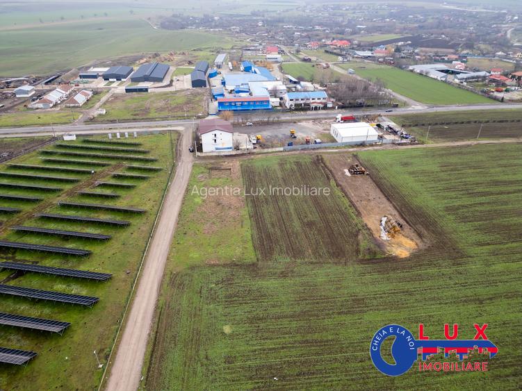 ID 7901 EXCLUSIVITATE - Teren intravilan în Cataloi - 8