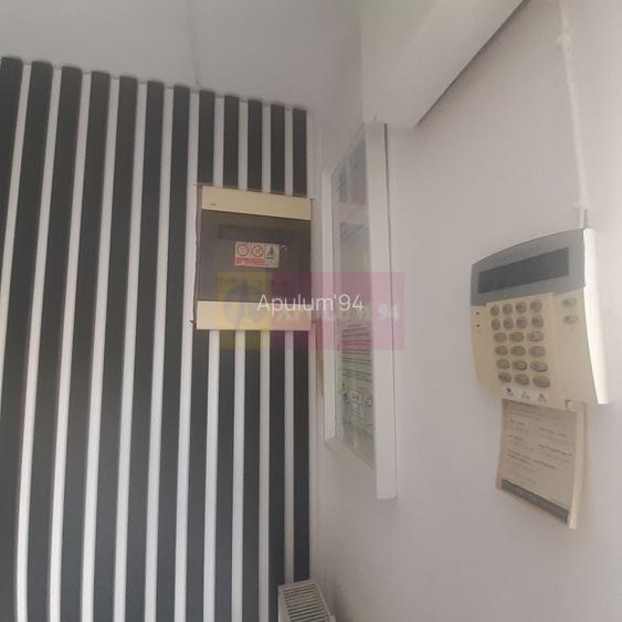 Spatiu Comercial Stradal Șoseaua Colentina zona Teiul Doamnei Suveica - 42