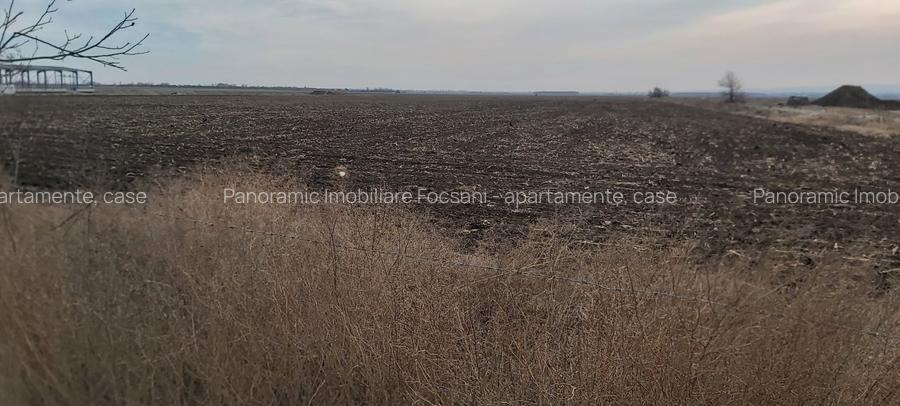 Terenuri intravilane de vanzare Focsani ,4,5 Ha Focsani - 12