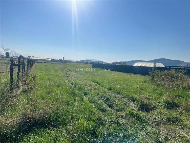 COMISION 0! TEREN INTRAVILAN, 1000MP, HARMAN - 6