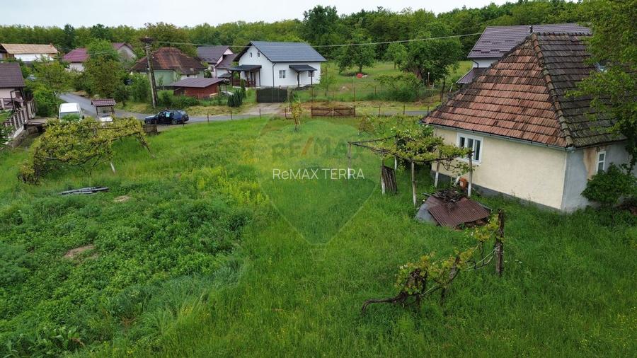 Casa cu teren De Vanzare in Ariesul de Padure - 10