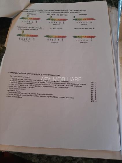 De Vanzare Apartament 4 camere in Vila, Cismigiu, sector 1 - 10