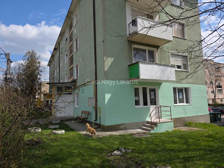 Apartament cu 2 camere , ultracentral , bun pt birouri in orasul Baraolt - 7