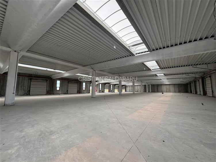 Vanzare depozit/spatiu industrial/hala Chitila - Rudeni, ILFOV - 3