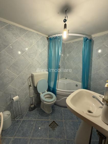 Cabana 5 dormitoare - 138.6 mp utili - 386 mp teren - Baisoara! - 11